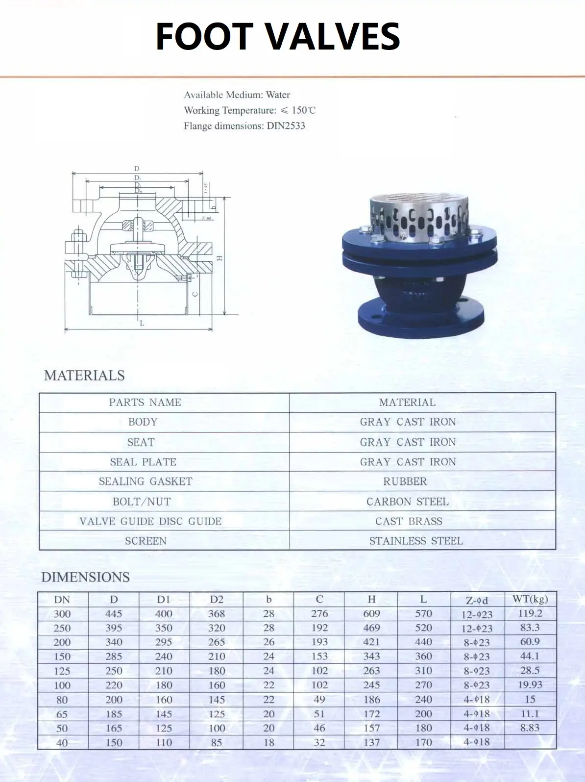 FOOT VALVES.webp